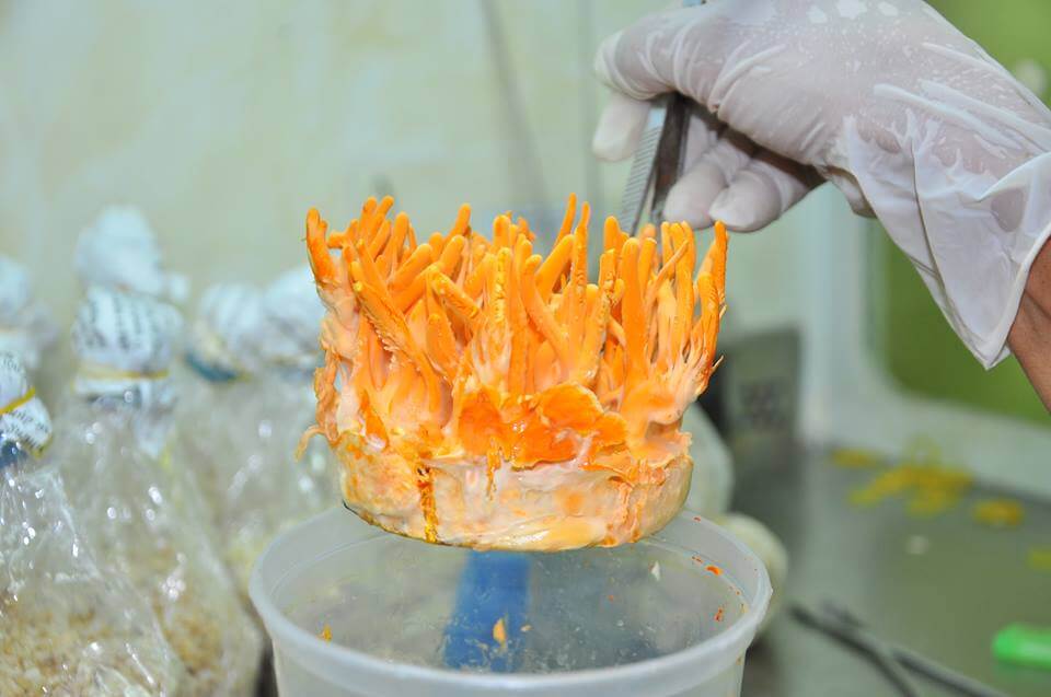 Sản phẩm Biocare